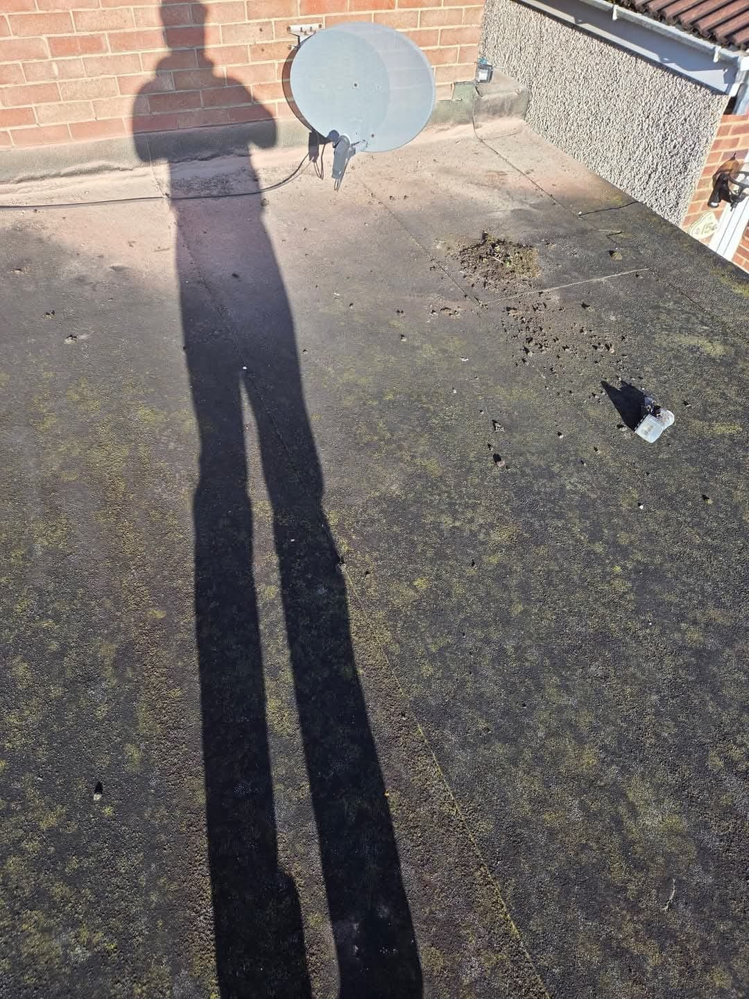 Old flat roof survey